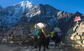 Everest Region: Home to the World's Highest Peak.